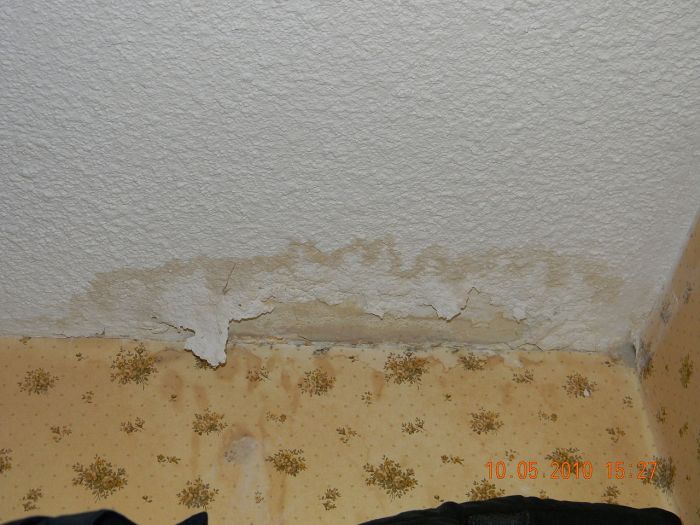 Mold Problems Commonly Affect Aging Structures